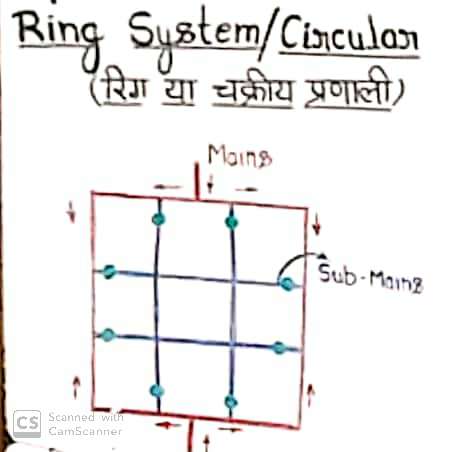 Ring System