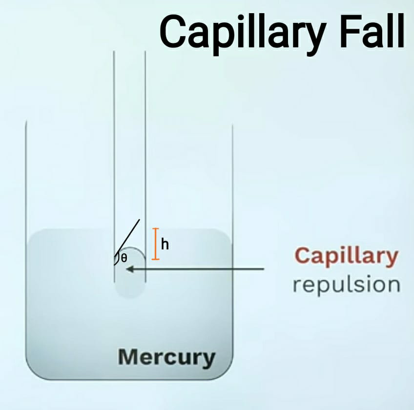 Capillary Fall