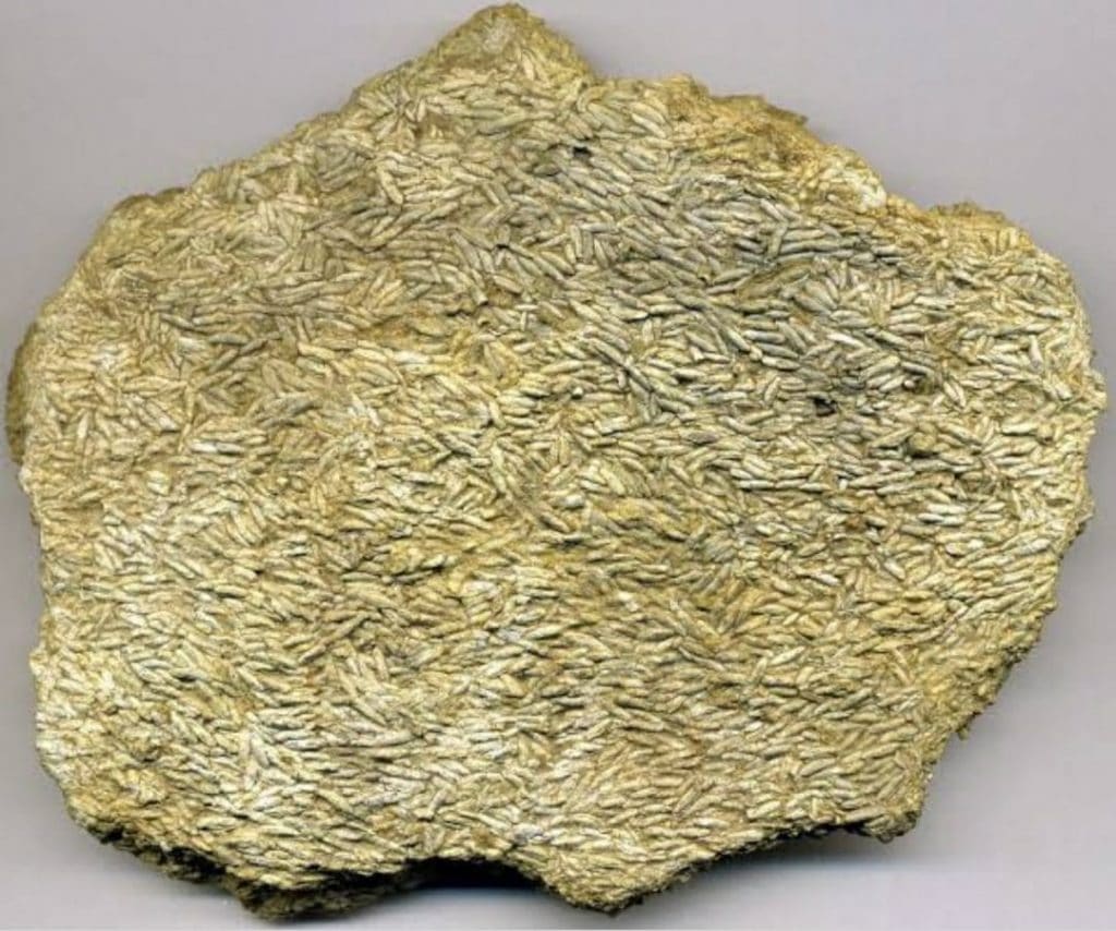 Fusulinid Limestone