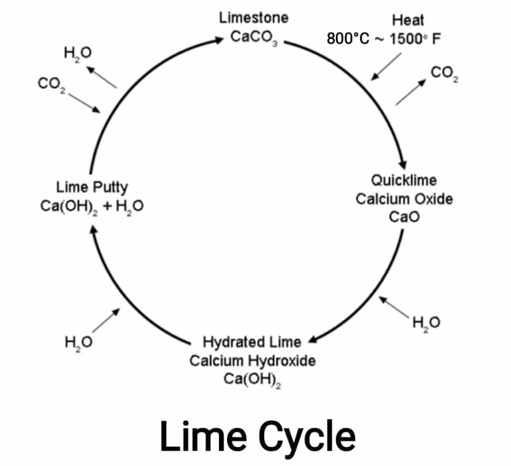 Lime Cycle