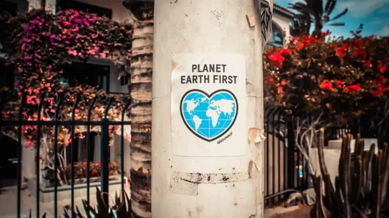 A poster with the words "planet Earth first" on a light pole.